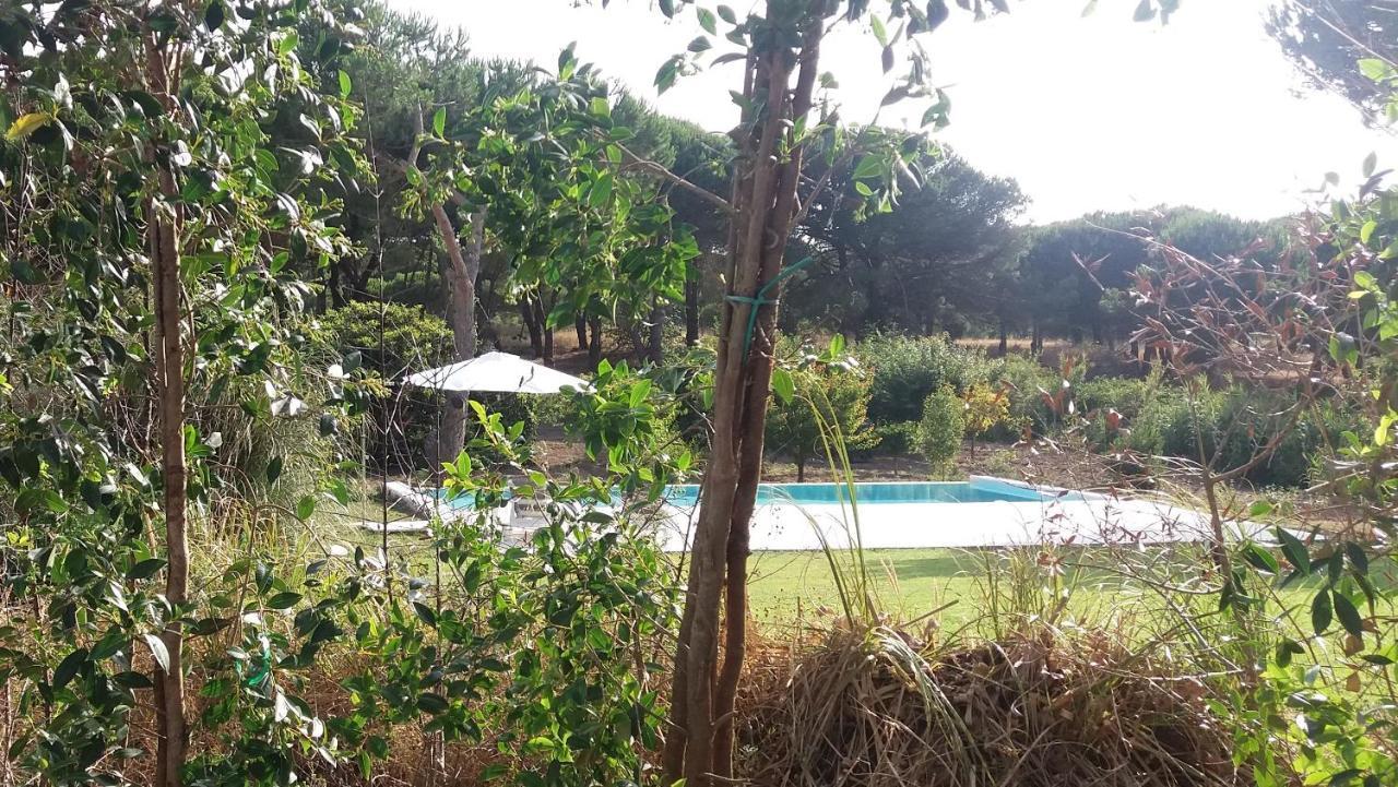 Vila Casa Rio Da Prata Aldeia do Meco Exteriér fotografie